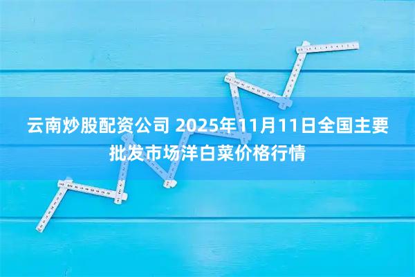 云南炒股配资公司 2025年11月11日全国主要批发市场洋白菜价格行情