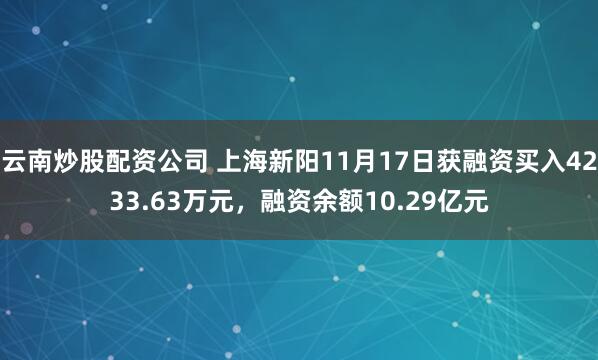 云南炒股配资公司 上海新阳11月17日获融资买入4233.63万元，融资余额10.29亿元