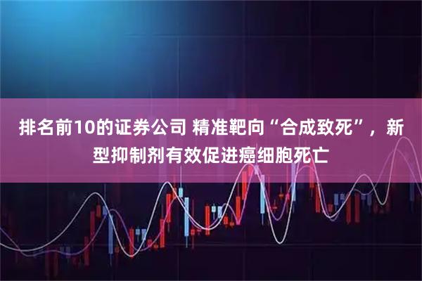 排名前10的证券公司 精准靶向“合成致死”，新型抑制剂有效促进癌细胞死亡