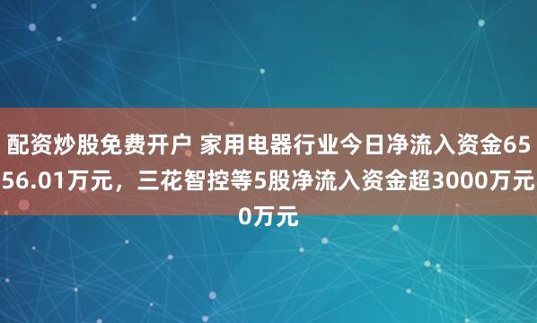 配资炒股免费开户 家用电器行业今日净流入资金6556.01万元，三花智控等5股净流入资金超3000万元
